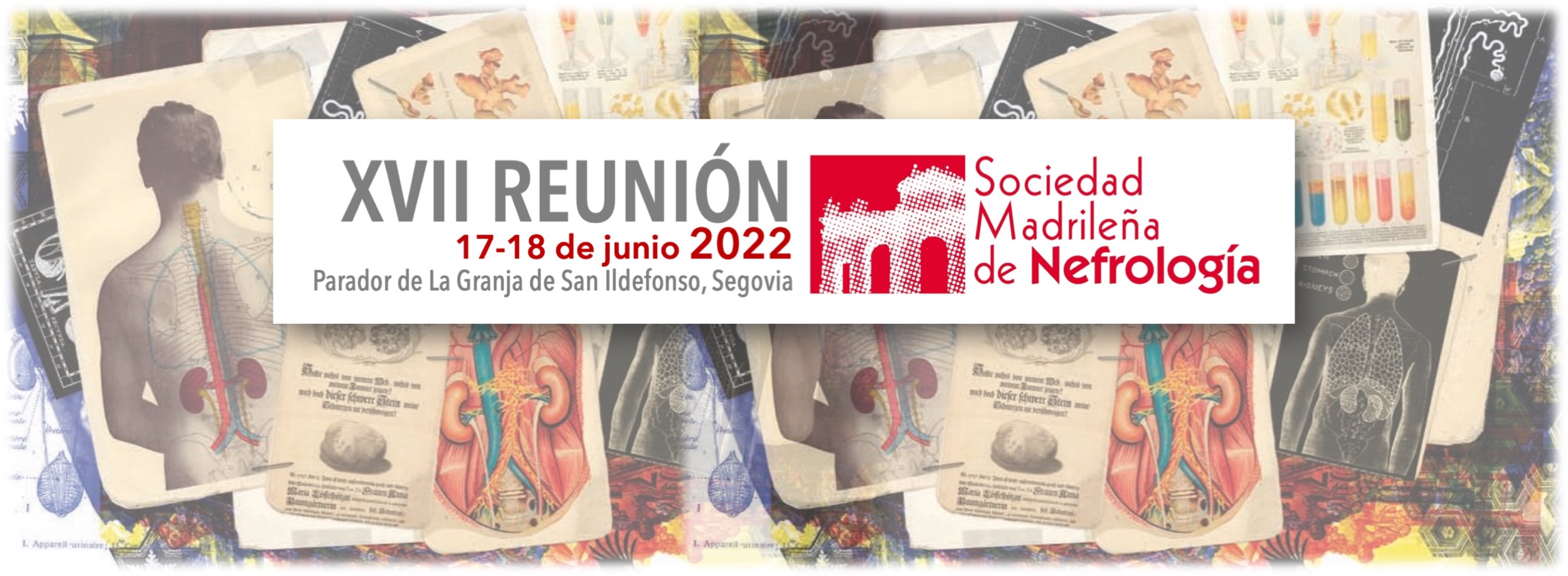 Reunión SOMANE 2022