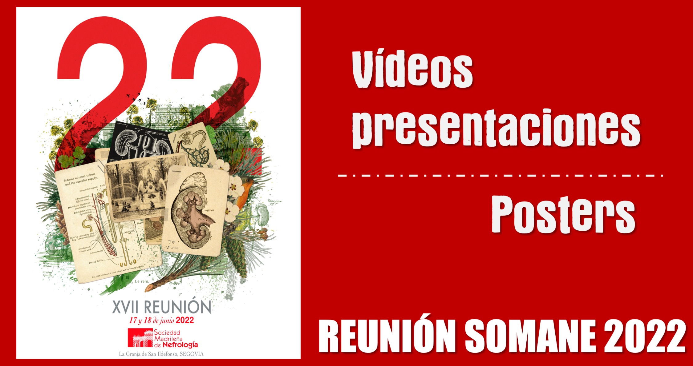 Vídeos Sesiones y Posters - Reunión SOMANE 2022